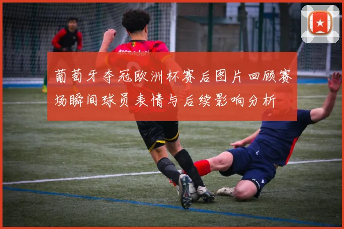 葡萄牙夺冠欧洲杯赛后图片回顾赛场瞬间球员表情与后续影响分析