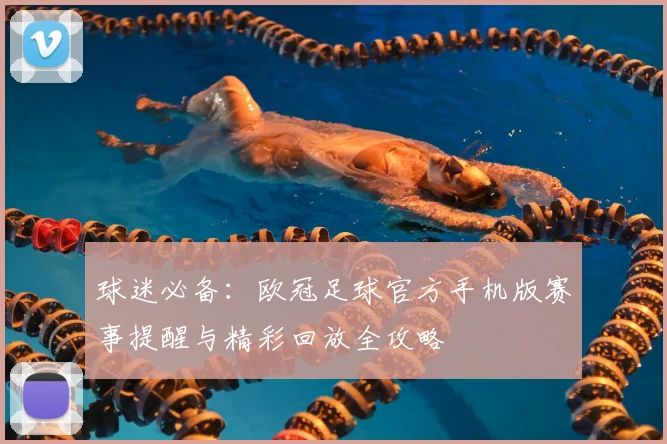 球迷必备：欧冠足球官方手机版赛事提醒与精彩回放全攻略