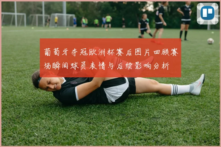 葡萄牙夺冠欧洲杯赛后图片回顾赛场瞬间球员表情与后续影响分析