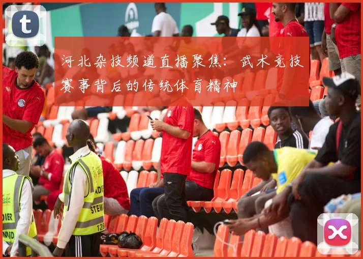 河北杂技频道直播聚焦：武术竞技赛事背后的传统体育精神