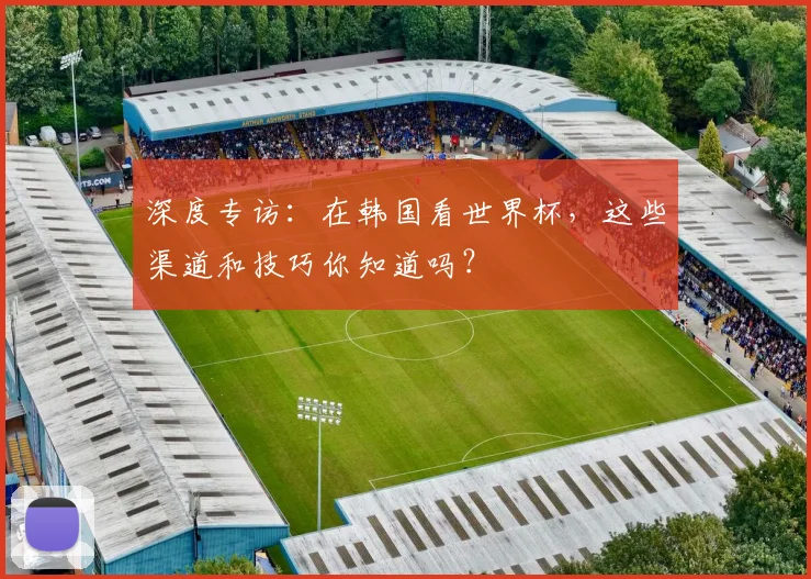 深度专访：在韩国看世界杯，这些渠道和技巧你知道吗？