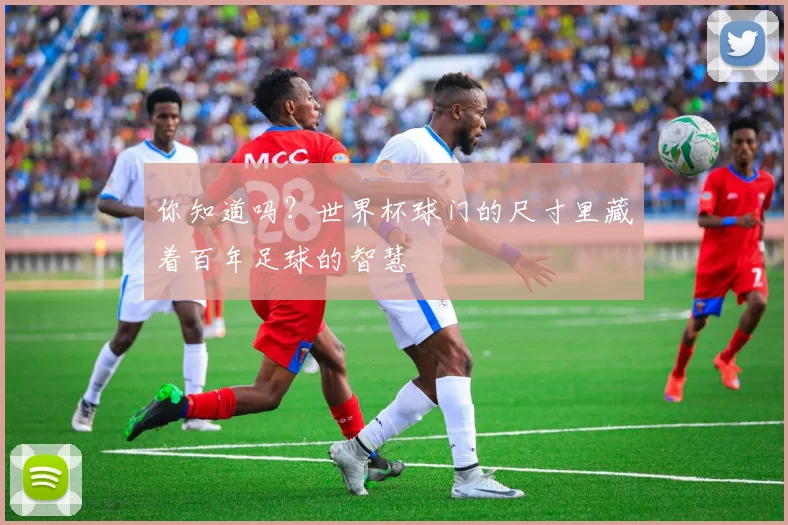 你知道吗?世界杯球门的尺寸里藏着百年足球的智慧