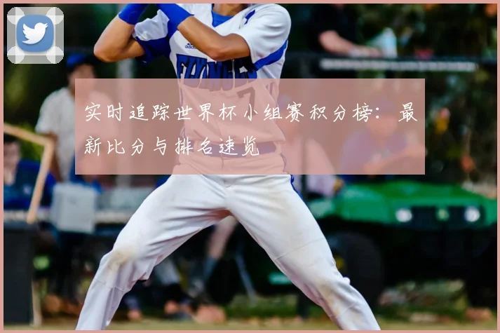 实时追踪世界杯小组赛积分榜：最新比分与排名速览