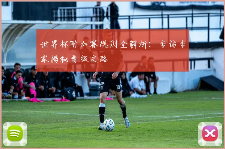 世界杯附加赛规则全解析:专访专家揭秘晋级之路