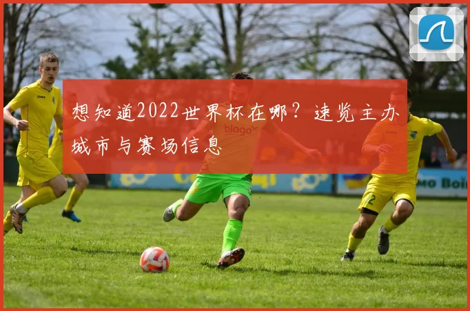 想知道2022世界杯在哪？速览主办城市与赛场信息