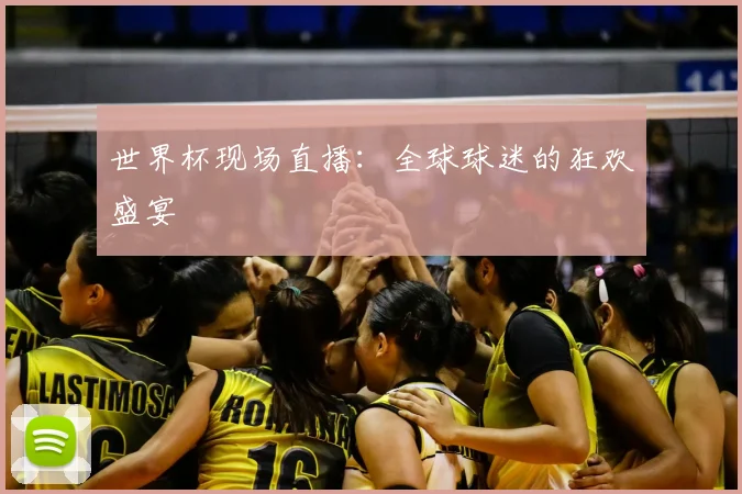 世界杯现场直播：全球球迷的狂欢盛宴