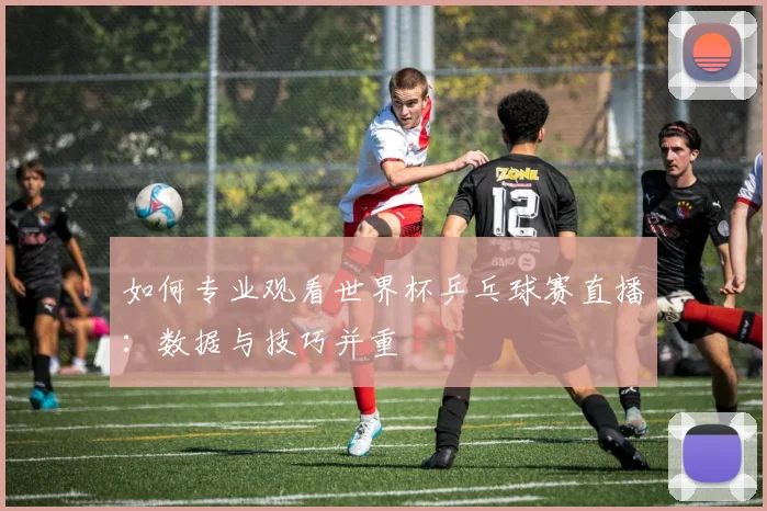 如何专业观看世界杯乒乓球赛直播：数据与技巧并重