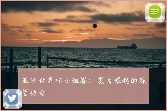 亚洲世界杯小组赛：黑马崛起的绿茵传奇