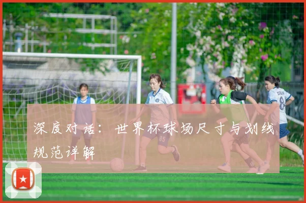 深度对话：世界杯球场尺寸与划线规范详解