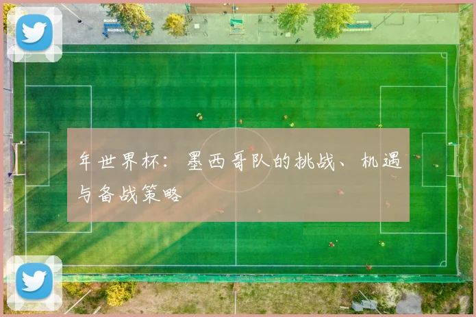 年世界杯：墨西哥队的挑战、机遇与备战策略