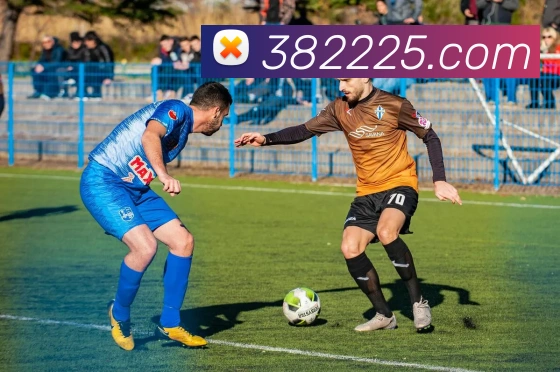 奇异果体育官网发展历程