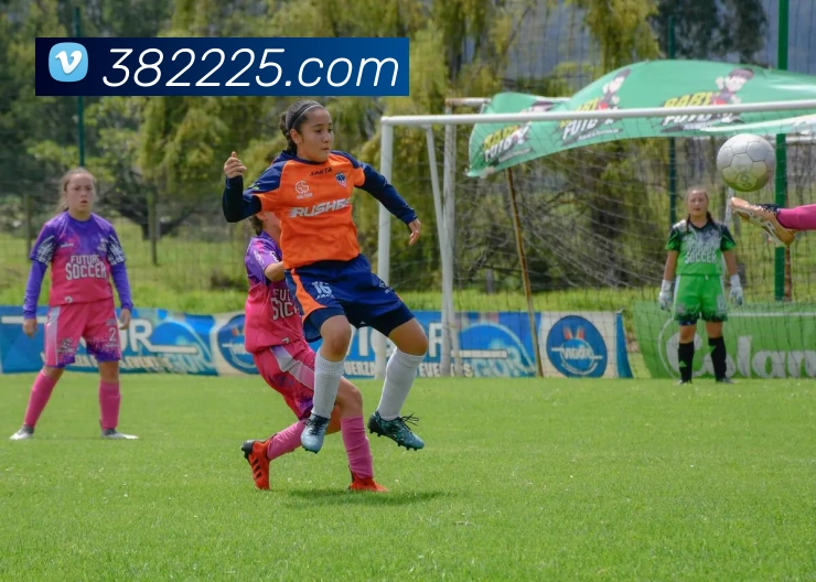 葡萄牙夺冠欧洲杯赛后图片回顾赛场瞬间球员表情与后续影响分析